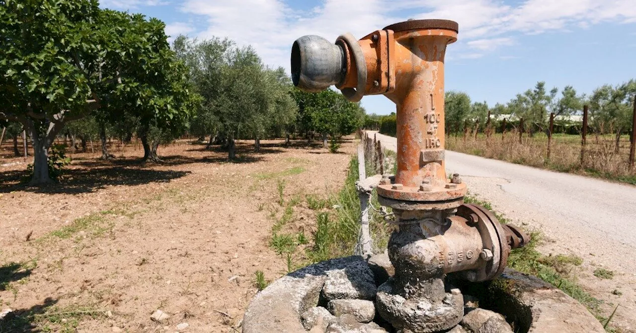 La siccità strangola il Sud: “Fra 3 settimane mancherà l’acqua nei campi della Puglia