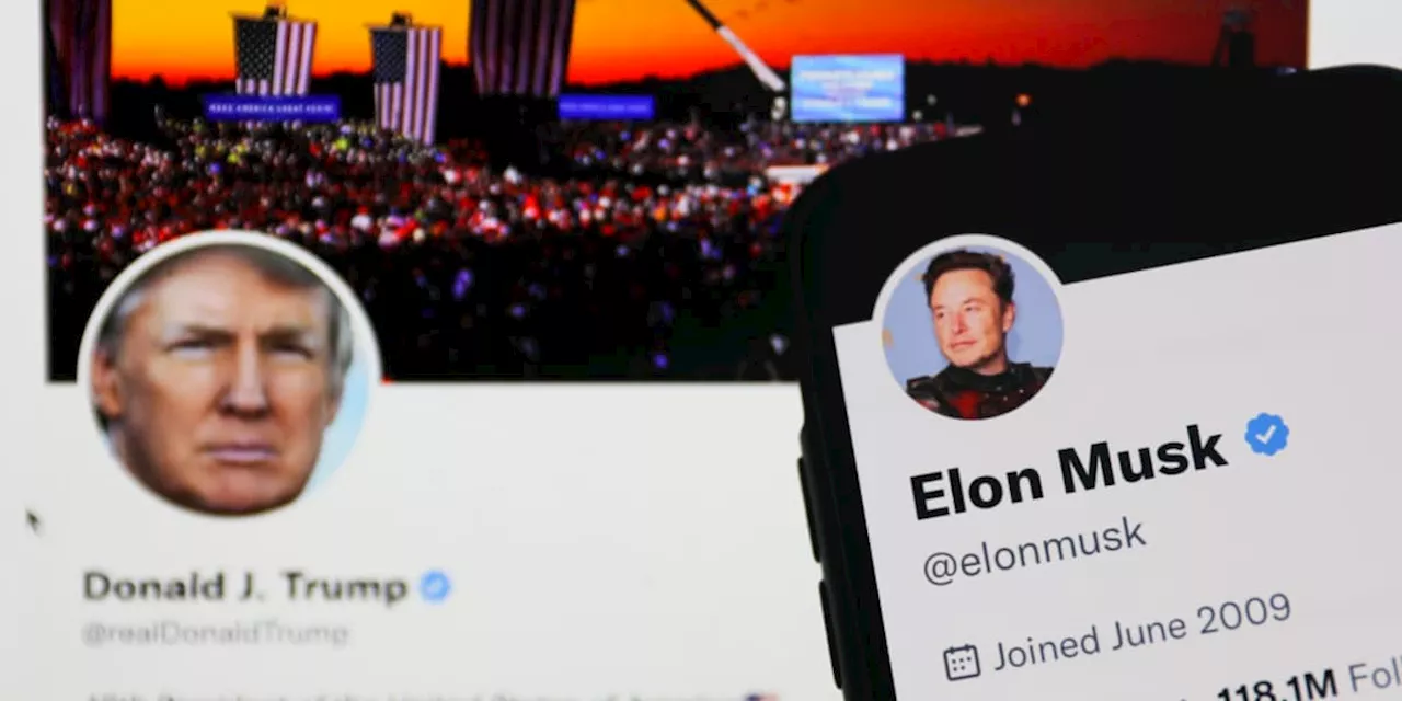 Strategie-Profi erklärt, warum Elon Musk sich auf Donald Trumps Seite schlägt