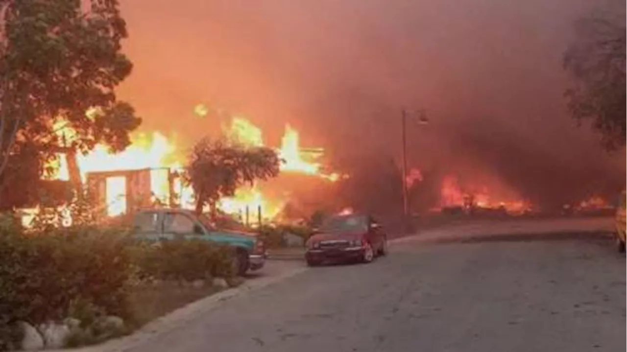 Jasper wildfire: 30-50% of structures damaged | Watch News Videos Online