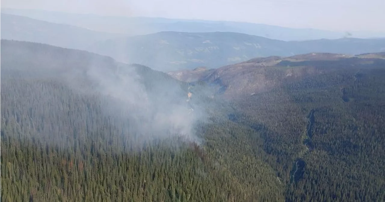 Slow-burning blaze near Sicamous being monitored: BC Wildfire Service