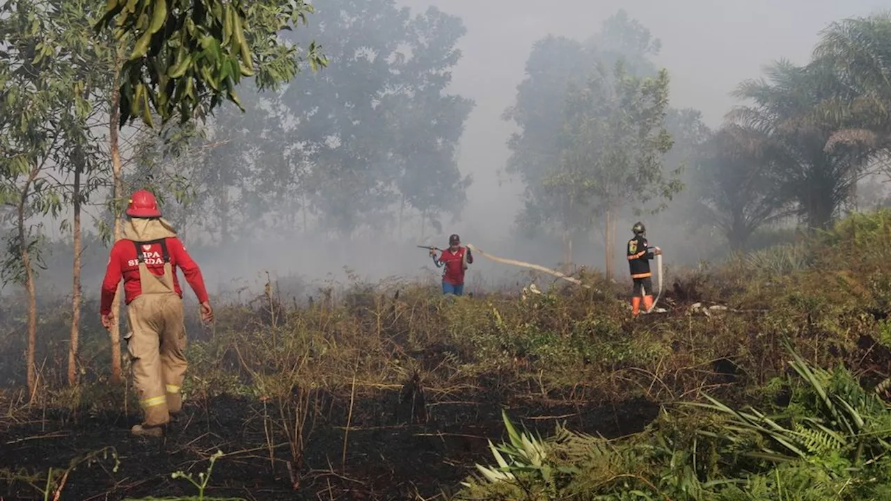 Akar Masalahnya Belum Selesai, Kabut Asap di Kalbar Berulang