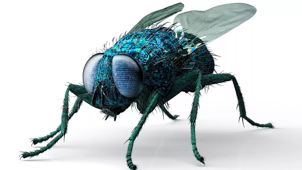 Flies could inspire scent-detecting drones that sniff chemical leaks