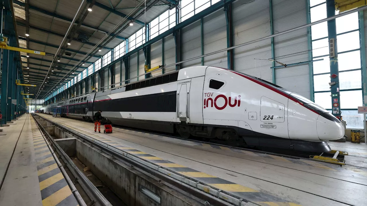 ‘Massive arson attack’ cripples French high-speed rail on Olympics opening day