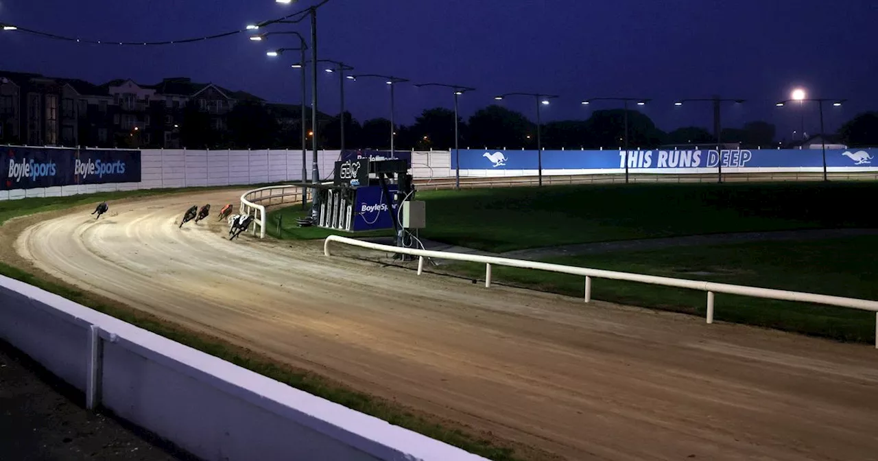 All the latest greyhound racing tips for Shelbourne Park, Limerick, and Dundalk