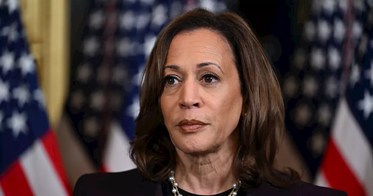 Kamala Harris: ‘As a courtroom prosecutor … I know Donald Trump’s type’