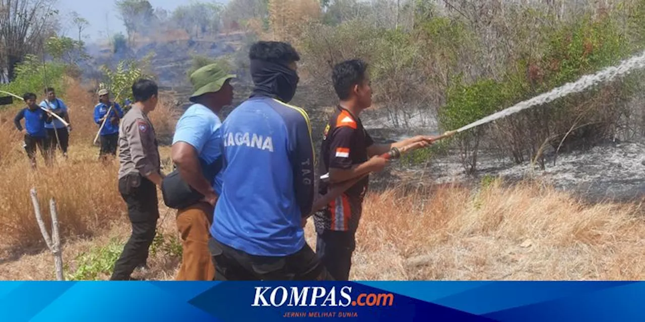 19 Daerah Tak Hujan Lebih dari 2 Bulan, BMKG Sebut Potensi Kebakaran