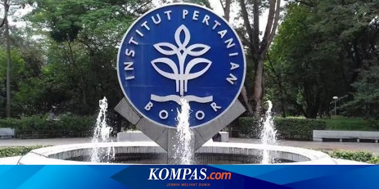 IPB Buka Prodi Baru S1 Kecerdasan Buatan, Pendaftaran Dibuka Hari Ini