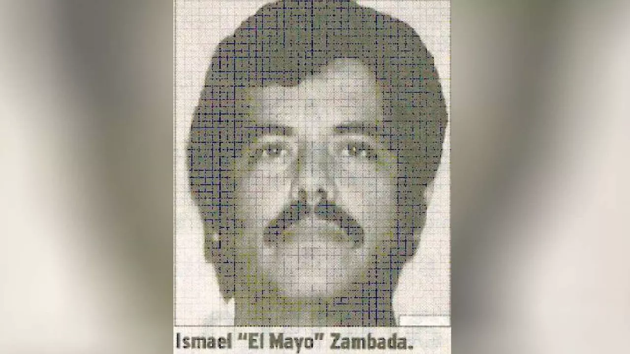 US arrests Mexican drug lord 'El Mayo' and El Chapo's son in Texas