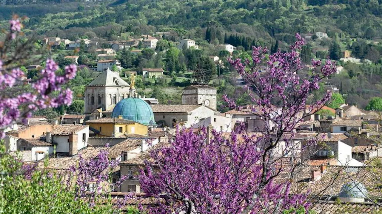 Les habitants d'Apt sont invités à étudier la biodiversité du cœur de ville