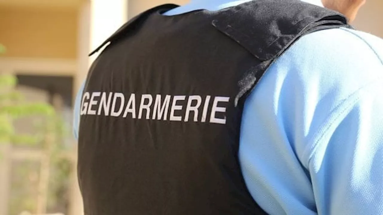 Un homme tué par un tir de gendarme après un refus d'obtempérer près de Toulouse