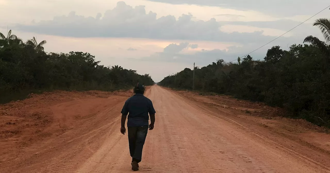 Corte brasileña frena pavimentación de carreteras en la selva aduciendo cambio climático