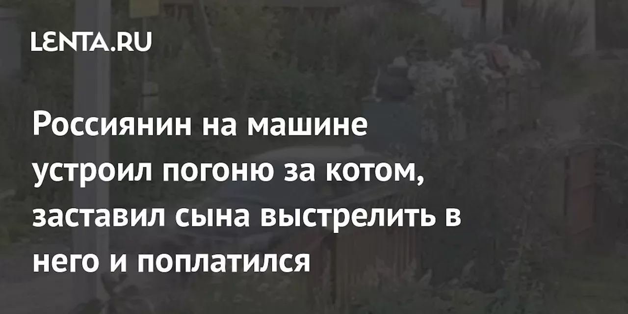 Россиянин на машине устроил погоню за котом, заставил сына выстрелить в него и поплатился