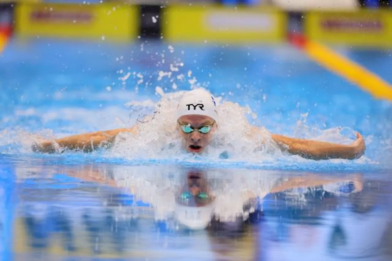 Cinq courses, cinq chances de médailles d'or : la quête olympique de Léon Marchand