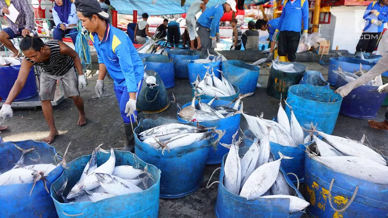 Neraca Dagang Produk Perikanan Surplus, Tembus Rp 40,67 Triliun di Semester I 2024