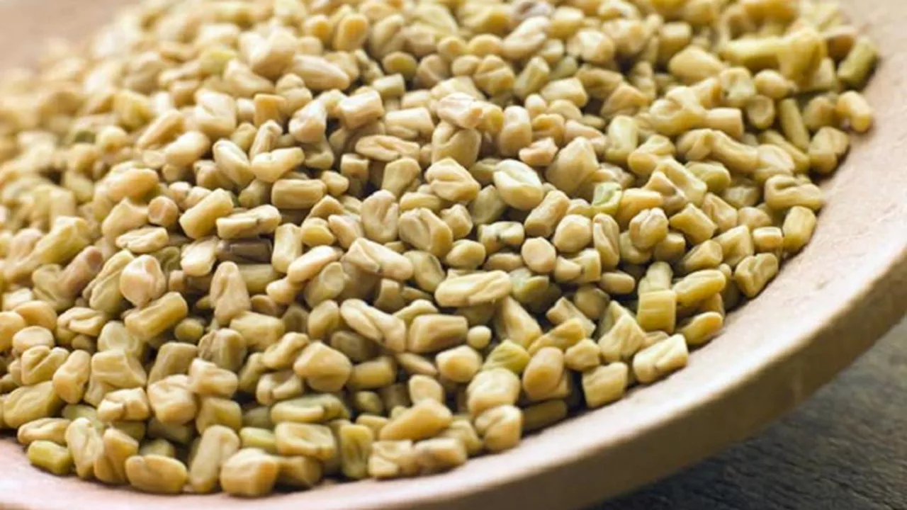 Rahasia Herbal Super Fenugreek untuk Mengontrol Diabetes, Ini Cara Mengolahnya