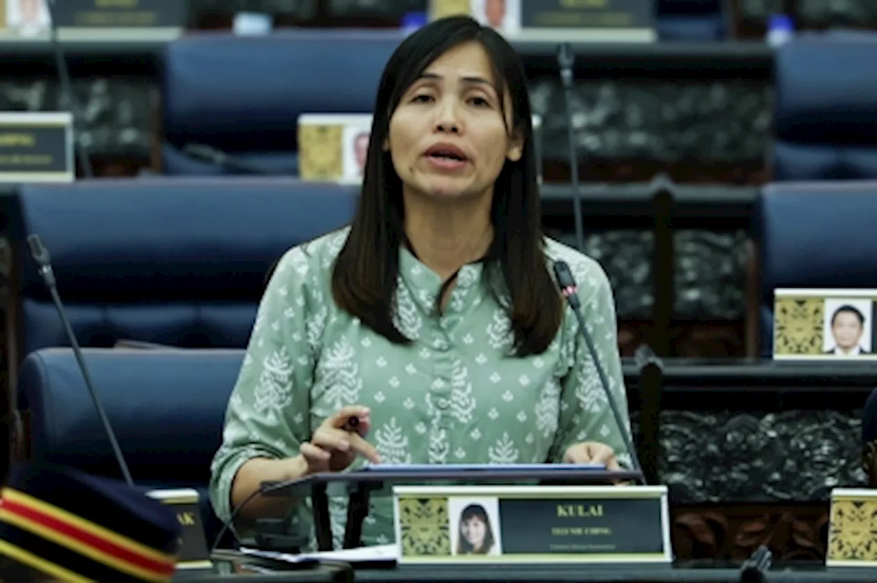 Police nab three men over burglary at Deputy Minister Teo Nie Ching’s Kulai office, schools, temple