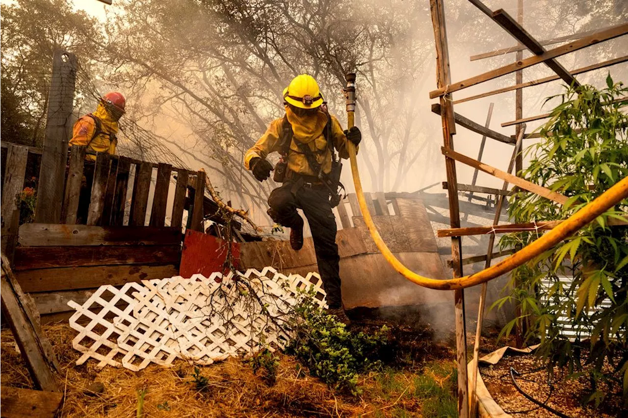 A tanker plane crash has killed a firefighting pilot in Oregon as Western wildfires spread