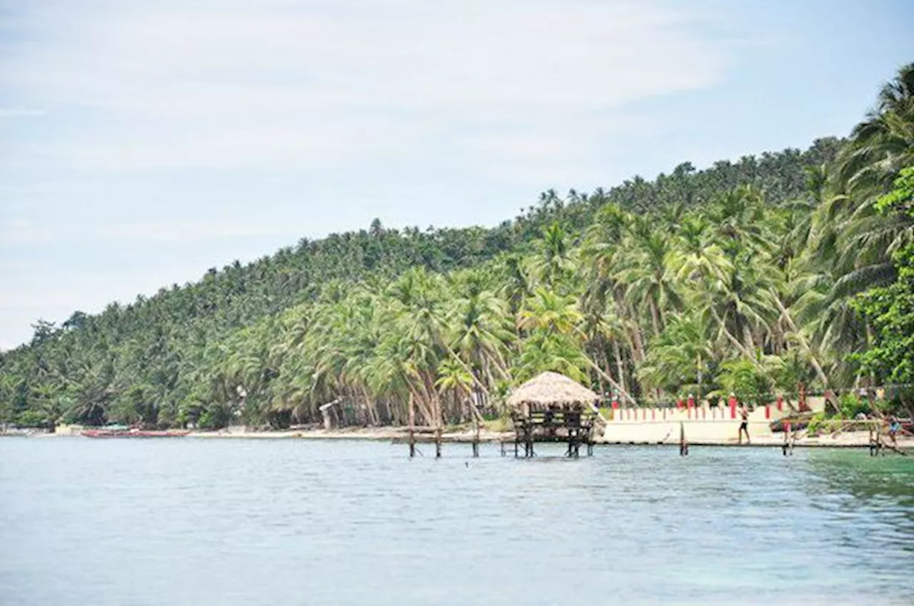 Northern Samar eyes to become Eastern Visayas freediving capital