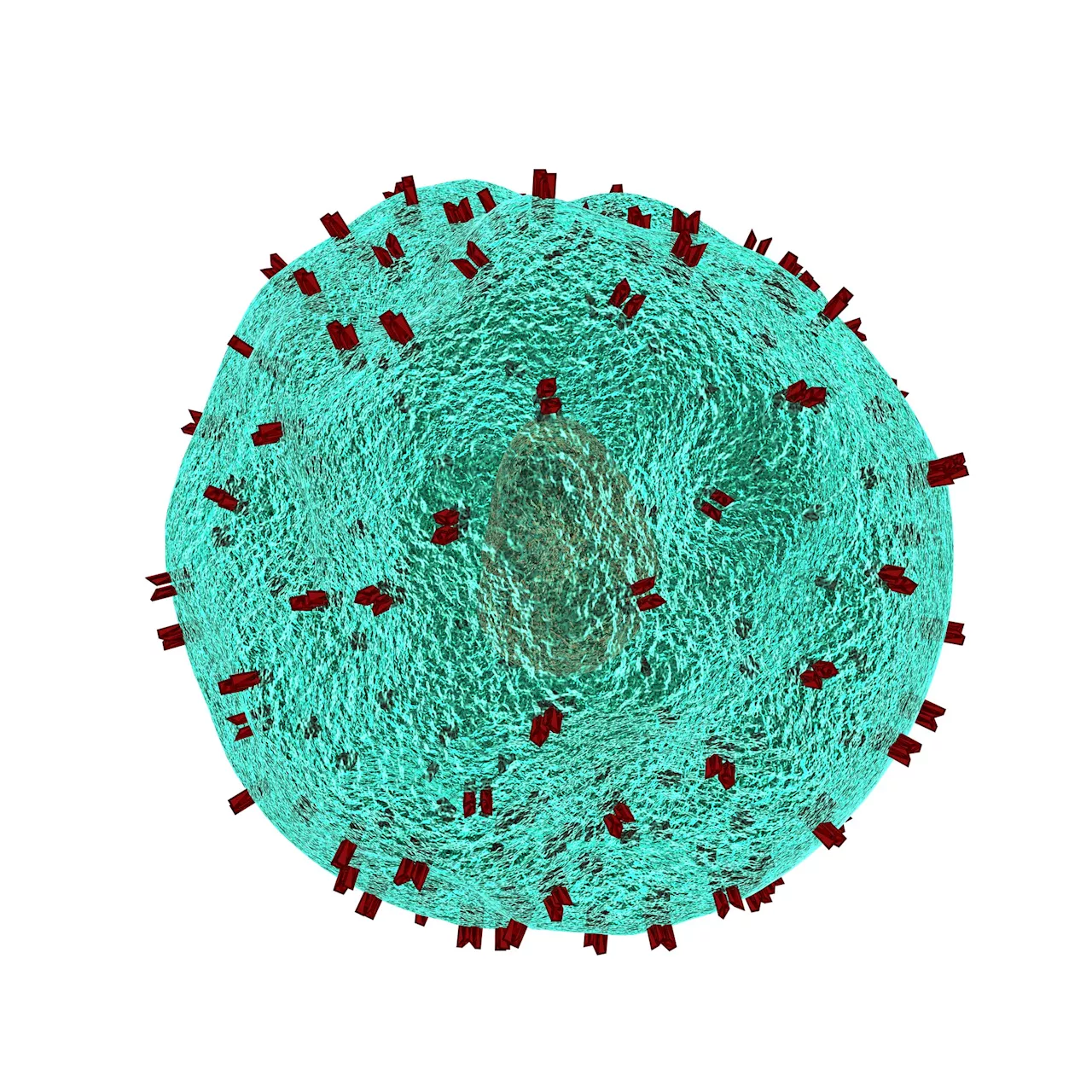 Researchers devise novel solution to preventing relapse after CAR T-cell therapy