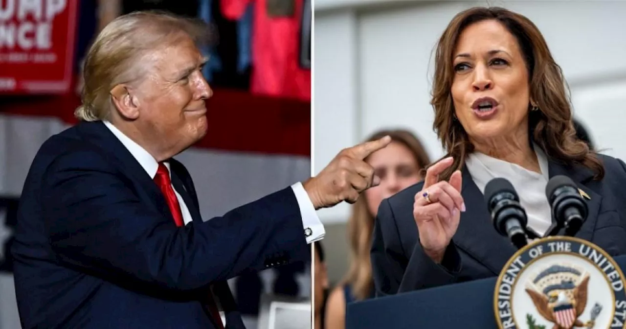 First polls show how Kamala Harris stacks up to Trump since Biden exit