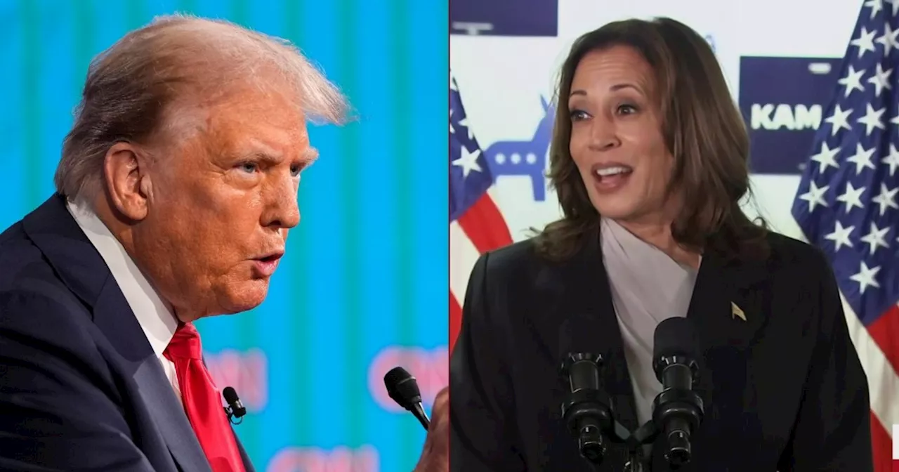 'You can hear the fear': Why Trump, GOP don't know how to game Harris' record