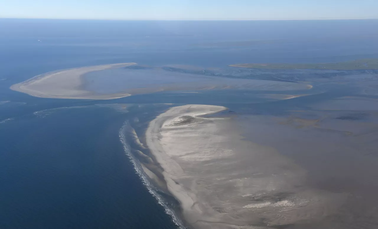 Unesco kritisiert Deutschland wegen Wattenmeer-Aktivitäten