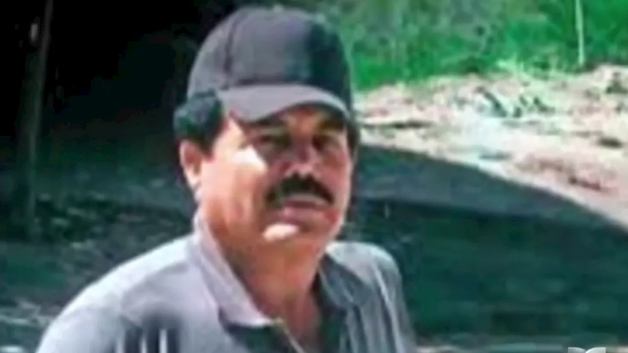 Mexican drug lord ‘El Mayo' Zambada arrested in Texas, officials say