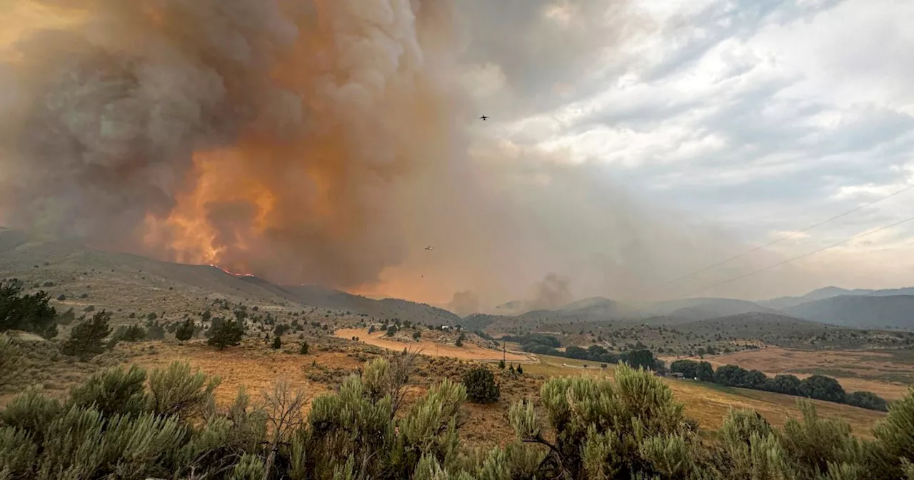 Pilot of air tanker that went missing fighting Oregon wildfire found dead