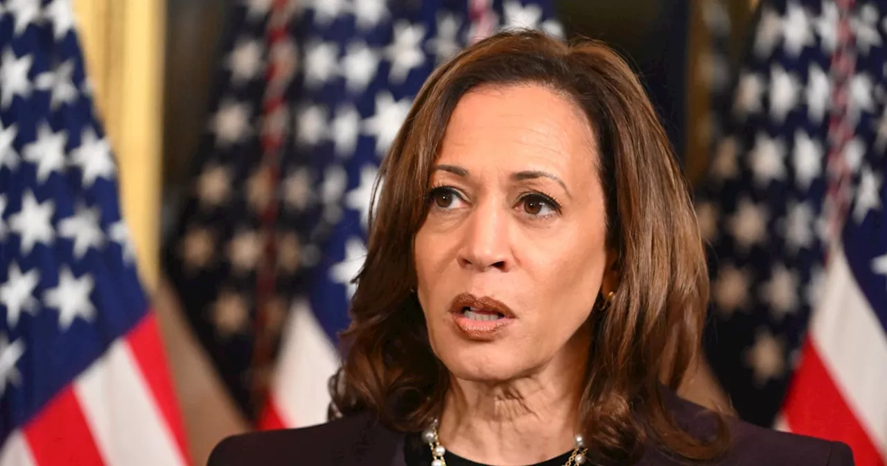 'We're not going back': Never-Trump Republicans embrace Harris' 'top cop' persona