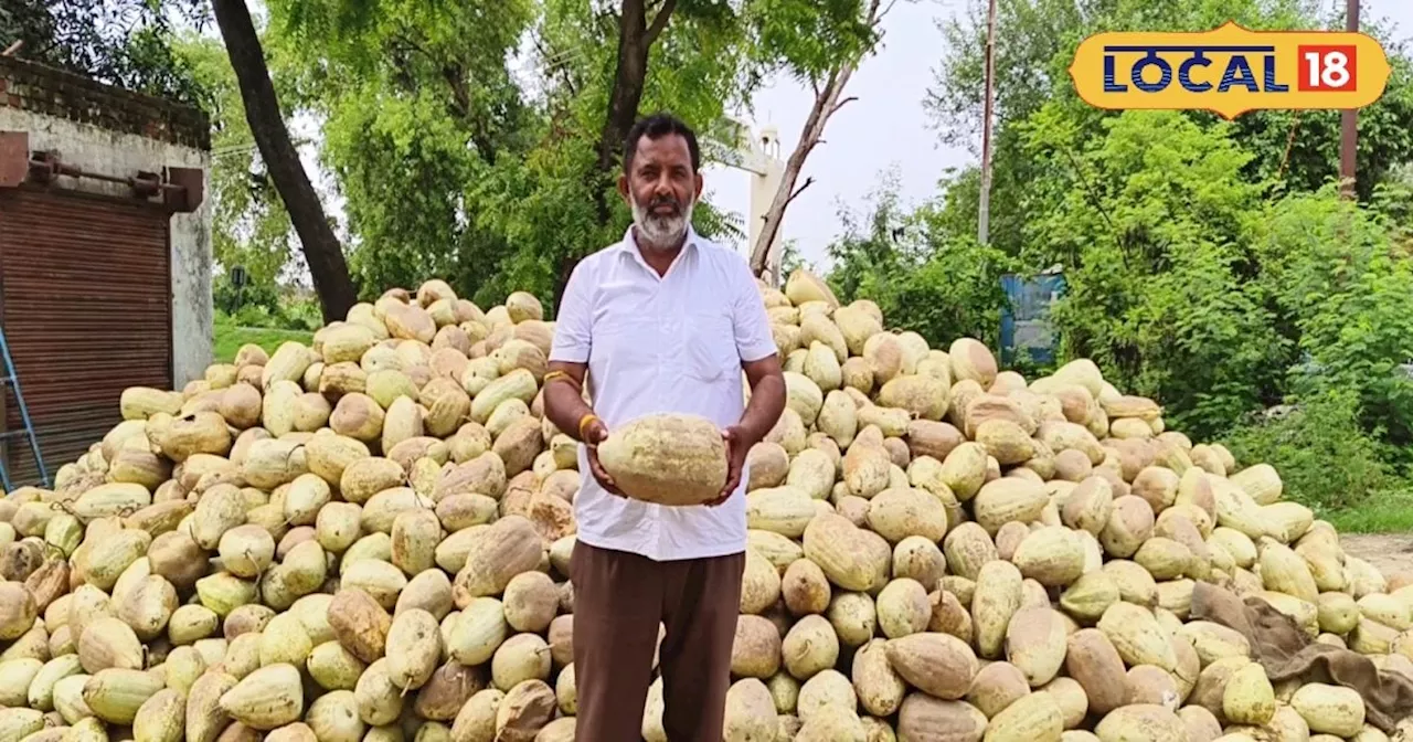 धान-गेहूं नहीं बल्कि इस फसल की बीज ने किसान को बना दिया लखपति, सिर्फ 500 रुपये की आई थी लागत