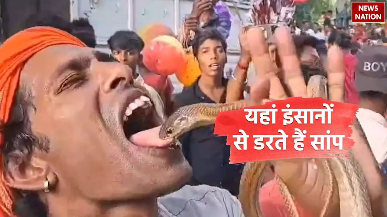 Viral Snake Fair Video : सांपों की मेला, जहां एक नहीं बल्कि आते हैं हजारों SNAKE!