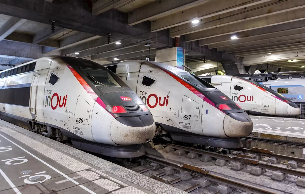 Olympics attack: Arsonists vandalise France’s high speed rail network