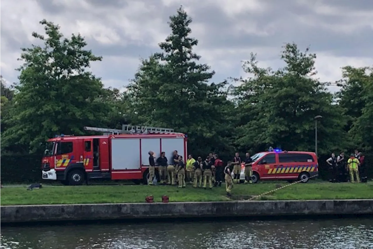 Brandweer voert zoekactie uit aan jaagpad langs de Leie in Kortrijk: man uit het water gehaald