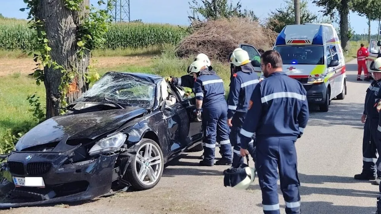 BMW gegen zwei Bäume: Unfallspuren auf mehr als hundert Metern