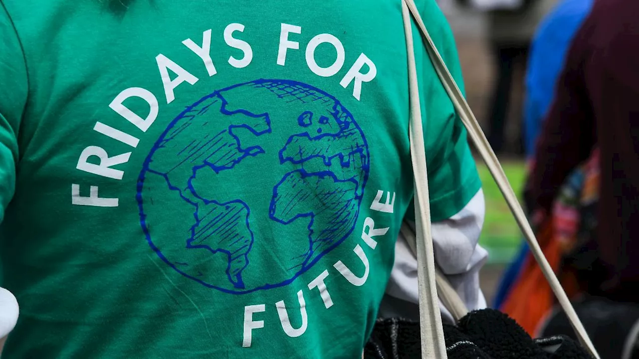 Sachsen-Anhalt: Treffen in Halle - Fridays for Future plant neue Aktionen