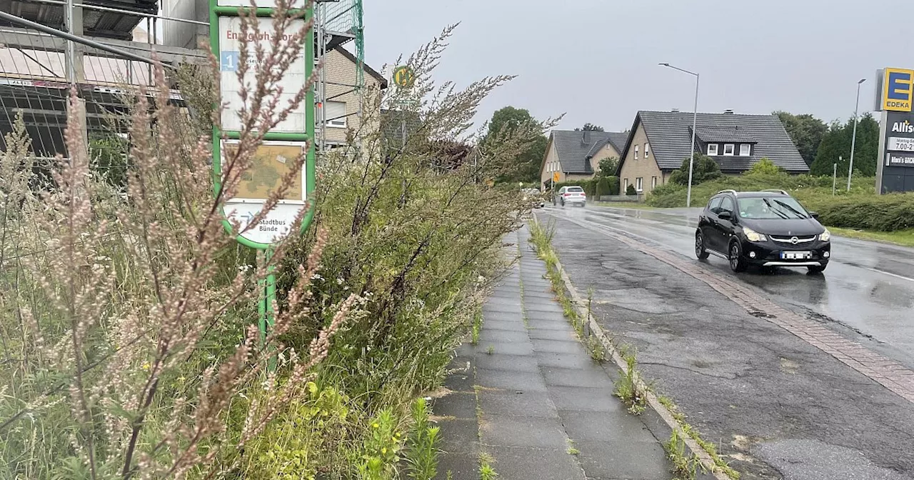 „Dschungelartige Zustände“: Ärger um zugewachsenen Gehweg an Bünder Hauptstraße