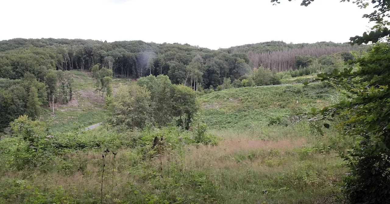 Wechselhafte Aussichten für den Sommer im Kreis Minden-Lübbecke