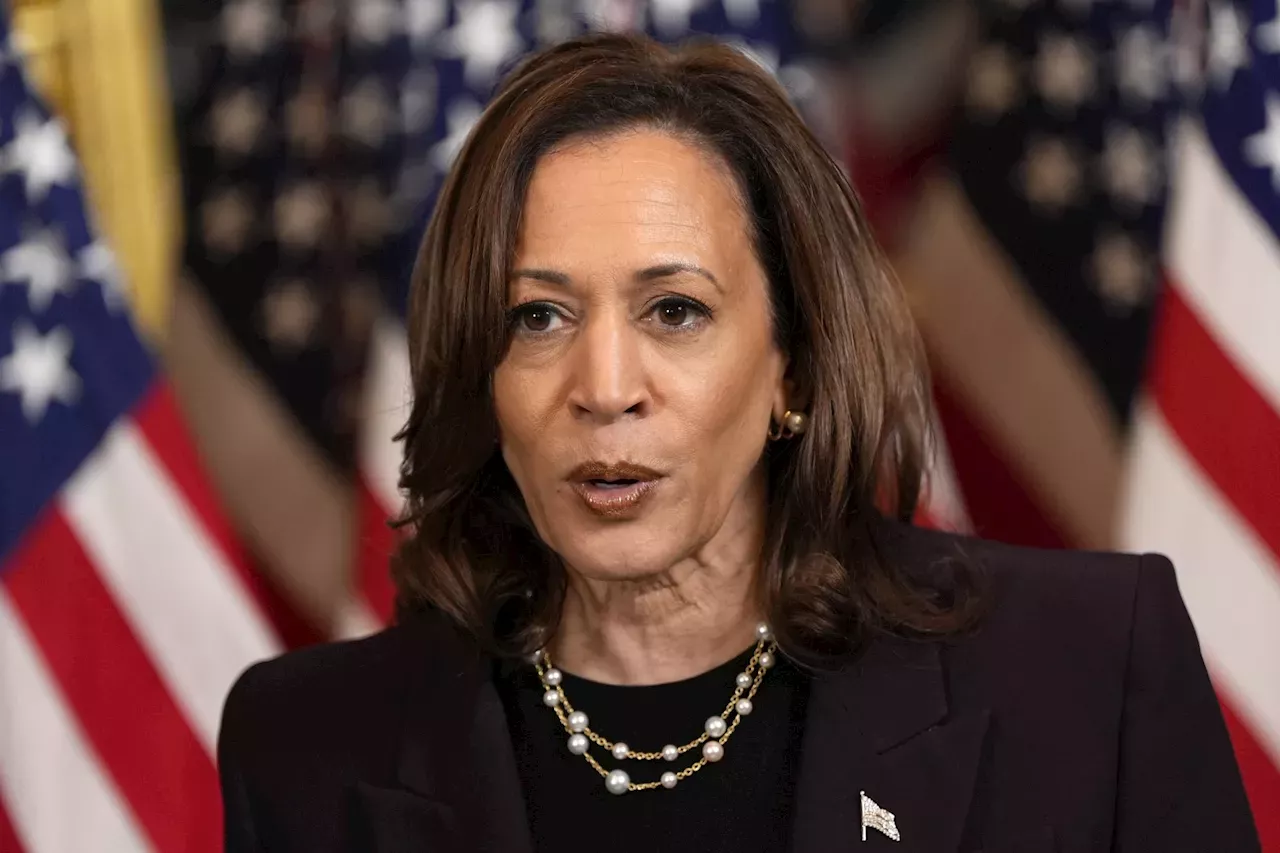 2024 Presidential Election: Kamala Harris played a key role in ...