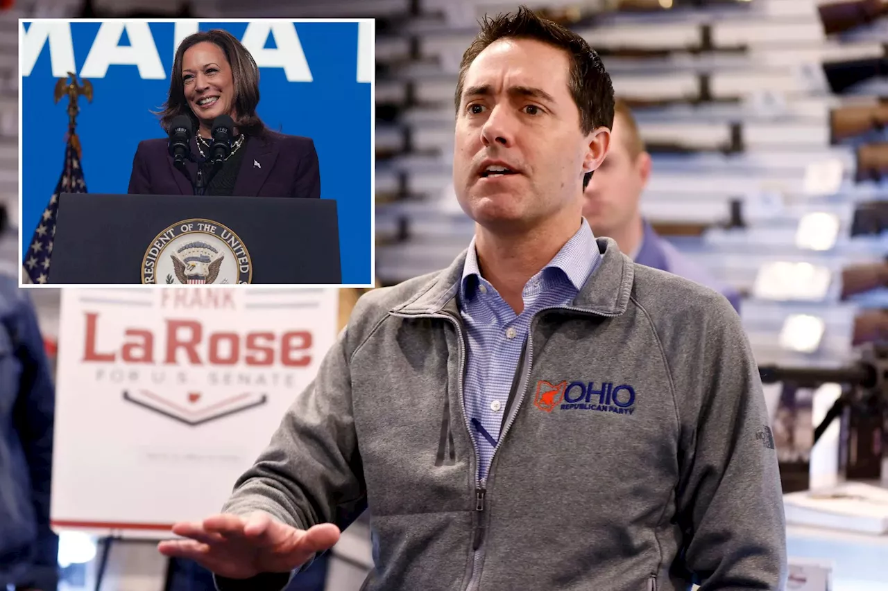 Ohio official wants Democrats to stop blaming Buckeye state for Kamala Harris virtual roll call vote