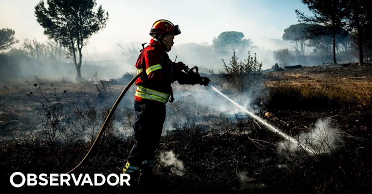 Perigo máximo de incêndio rural em mais de 50 concelhos do continente