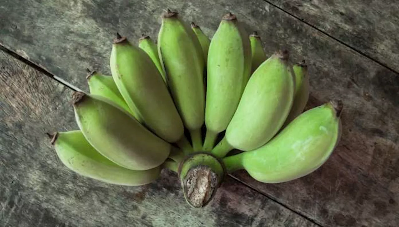 Farina di banane verdi: perché fa bene e come utilizzarla