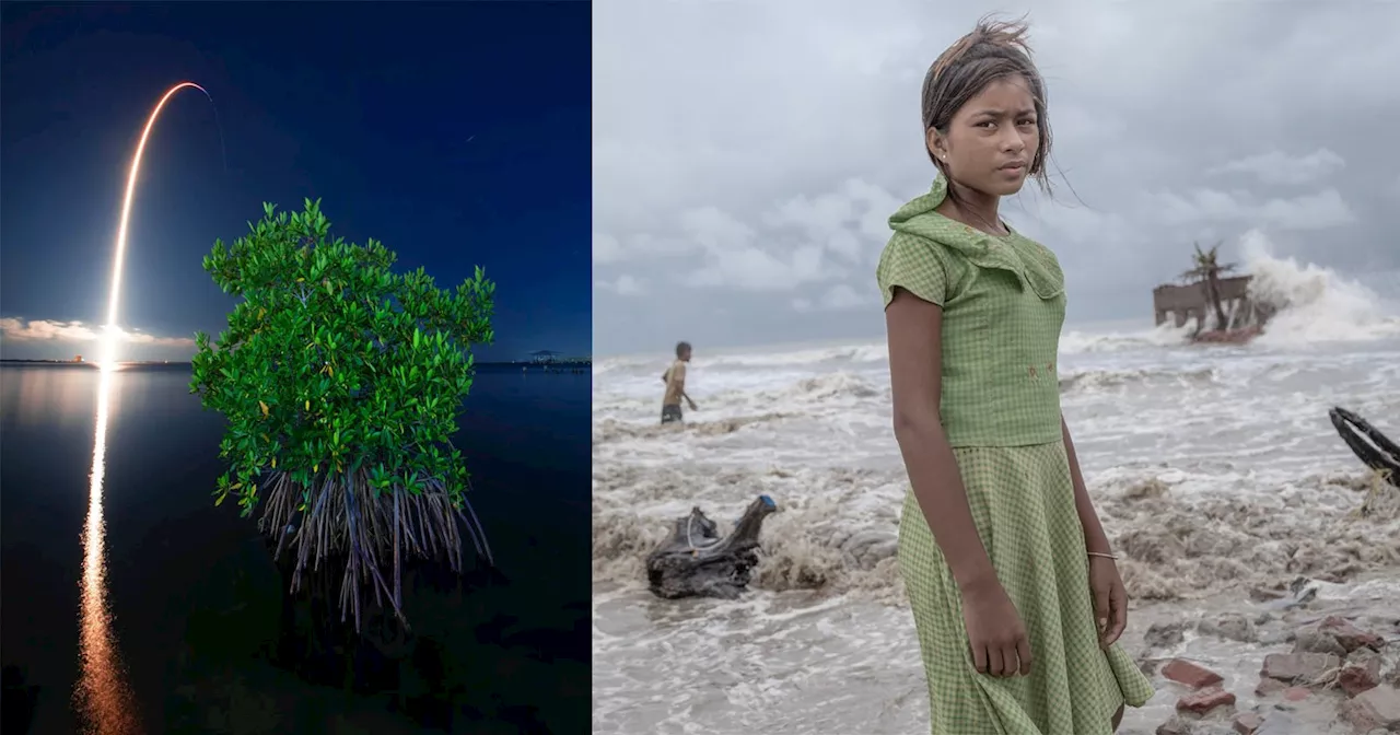 Mangrove Photo Competition Shines a Light on Threatened Water Worlds