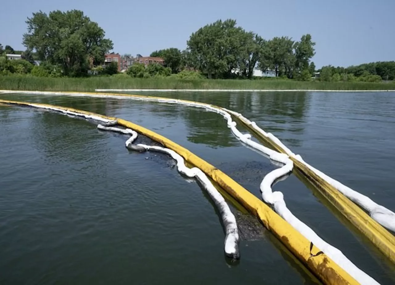 Work continues to clean second motor oil spill in river near Montreal