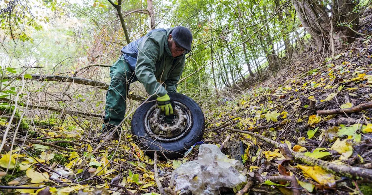 Wald-Alarm: Autoreifen, Tierstreu, Grünschnitt – der Wald vermüllt​