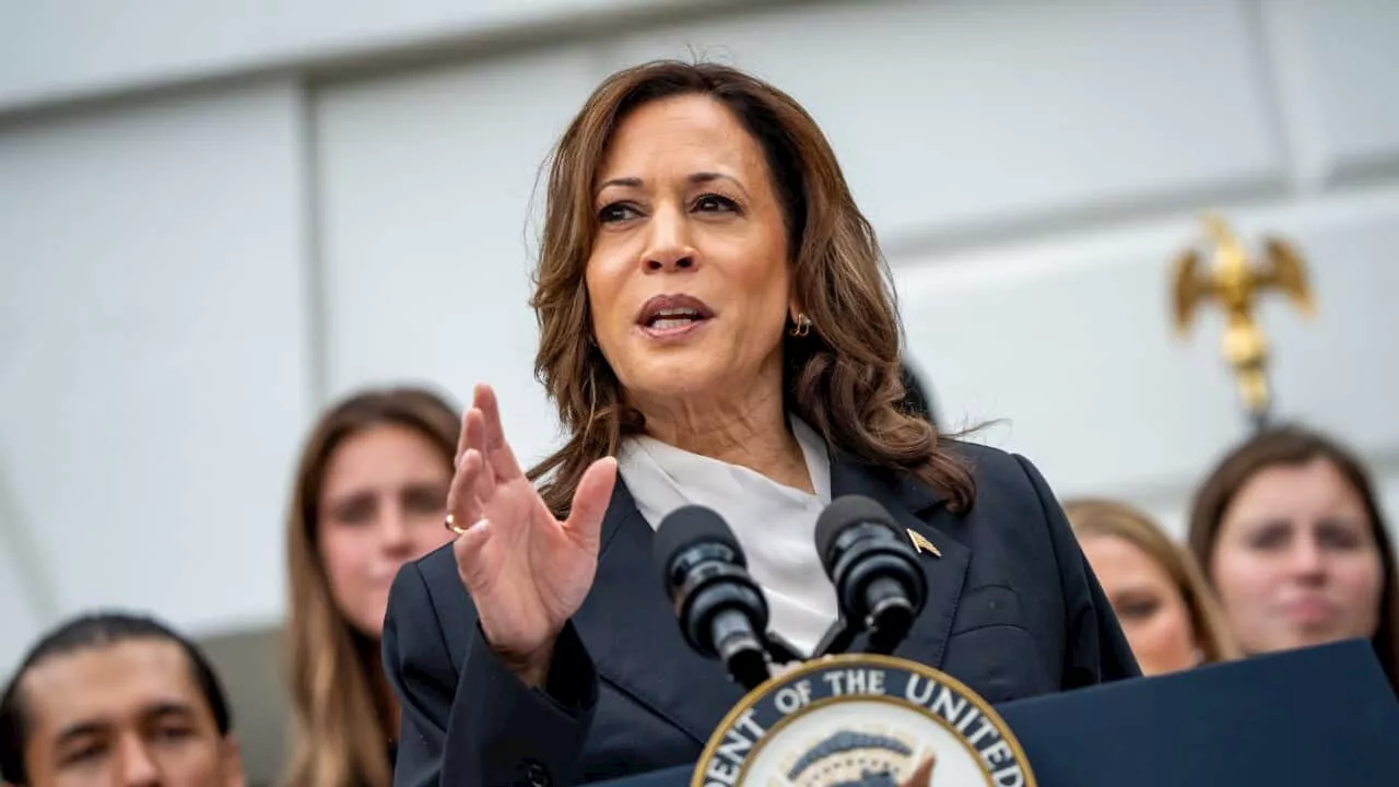 Who is Kamala Harris and what are her chances in the November election?