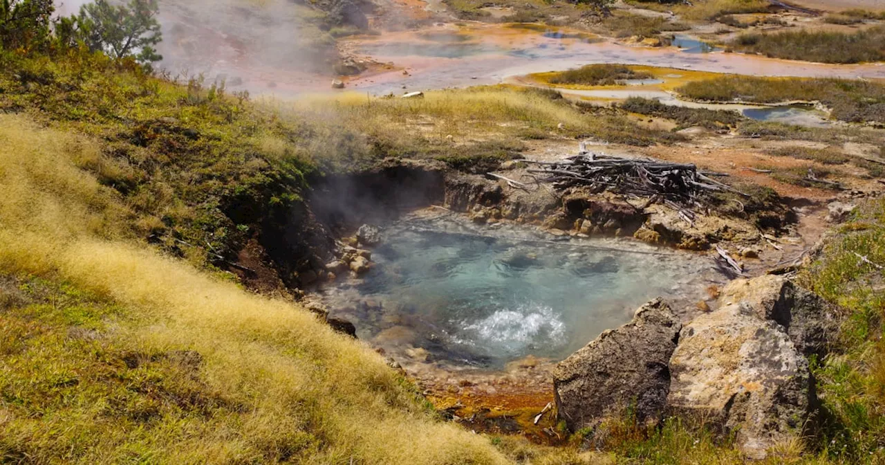 Unusual New Life Forms Discovered in Yellowstone Offer Clues to Alien Life