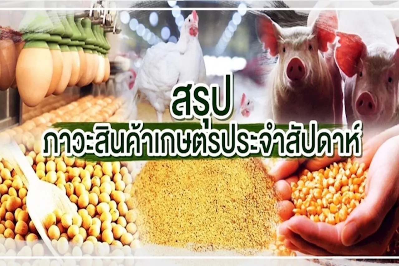 สรุปภาวะสินค้าเกษตรประจำสัปดาห์ วันที่ 22-26 กรกฎาคม 2567