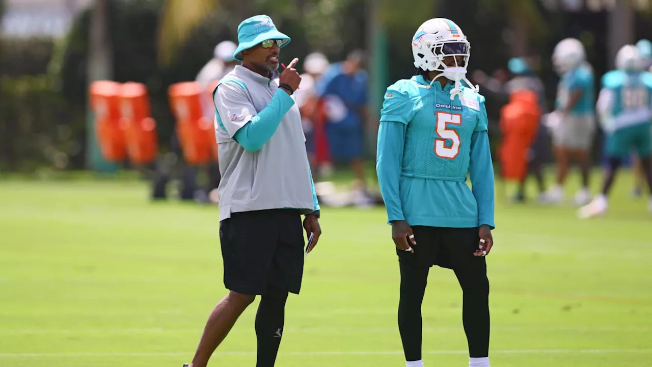 Defensive Backs Display Versatility In Miami Dolphins Training Camp