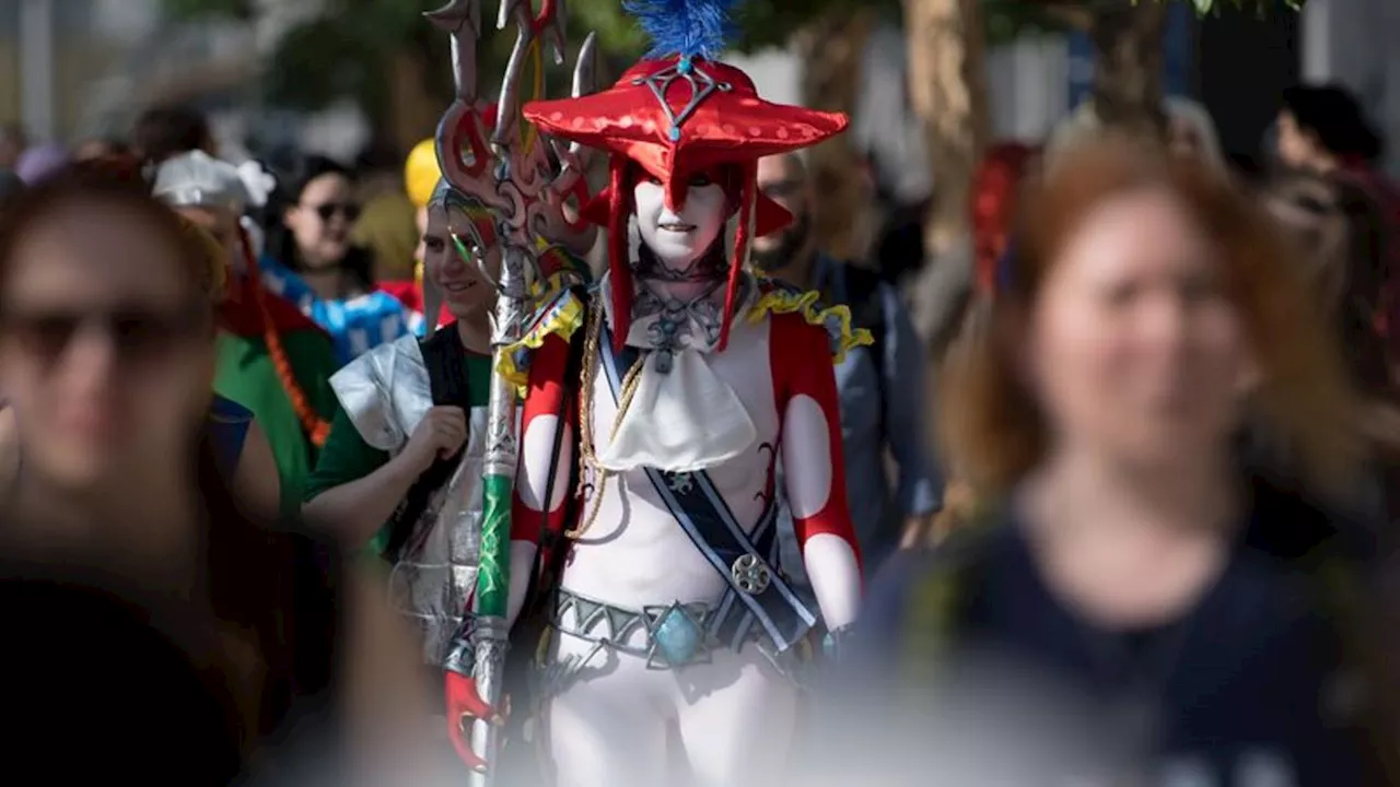 Einsatz in Schwerin: Zu echt: Polizei nimmt Cosplay-Anhängerin Samurai-Schwert ab