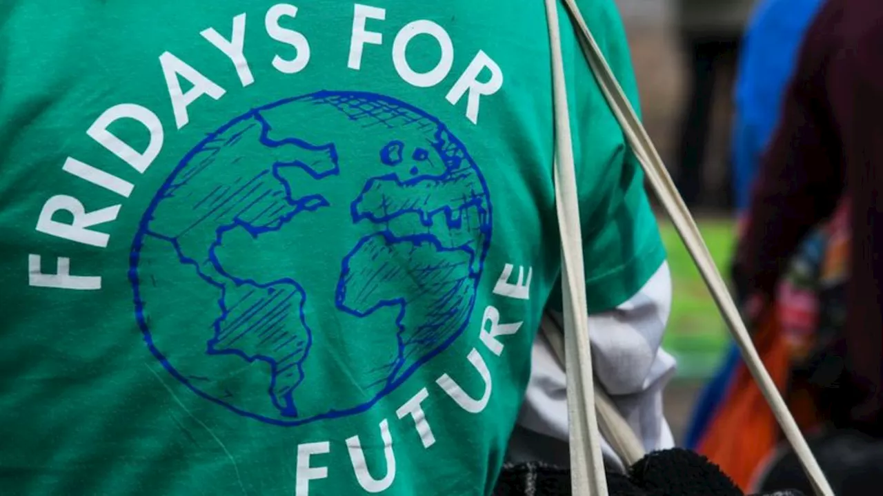 Klimaschutz: Treffen in Halle - Fridays for Future plant neue Aktionen